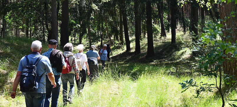 Unterwegs im Nieplitztal (Wanderung)