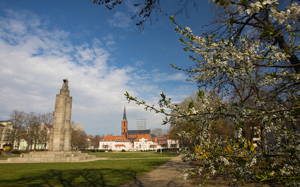 Foto: Artur Kozłowski, Lizenz: Artur Kozłowski