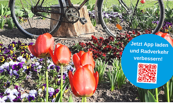 Foto: Stadt Wittstock/Dosse, Lizenz: Stadt Wittstock/Dosse