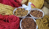 Pflanzliches Färbematerial und mit Pflanzen gefärbte Wolle., Foto: A. Fronia, Lizenz: NABU-Rühstädt