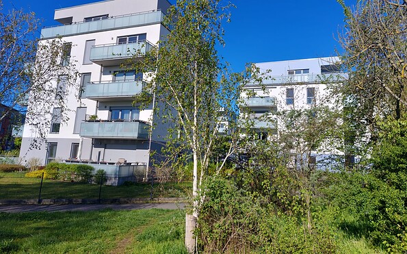 Foto: Maja Kühn, Lizenz: Stadtmarketing Frankfurt (Oder)