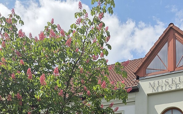 Foto: Karola Donner