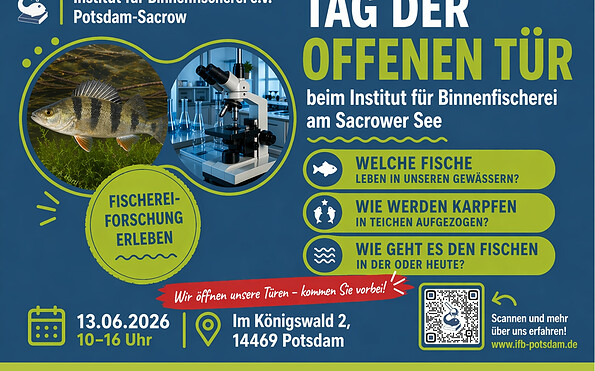 Foto: Institut für Binnenfischerei e. V. Potsdam-Sacrow, Lizenz: Institut für Binnenfischerei e. V. Potsdam-Sacrow