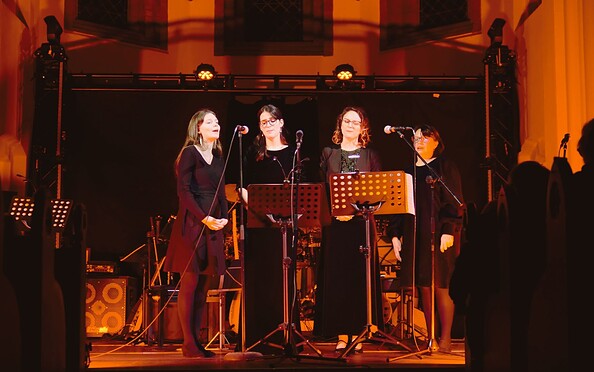 Ollidea, Foto: Anastasia Suvorov, Lizenz: Anastasia Suvorov