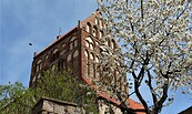 Foto: Touristinformation Lychen, Lizenz: Touristinformation Lychen