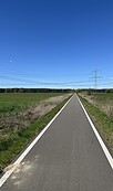 Foto: Rainer Wilkens, Lizenz: Naturwelt Lieberoser Heide GmbH