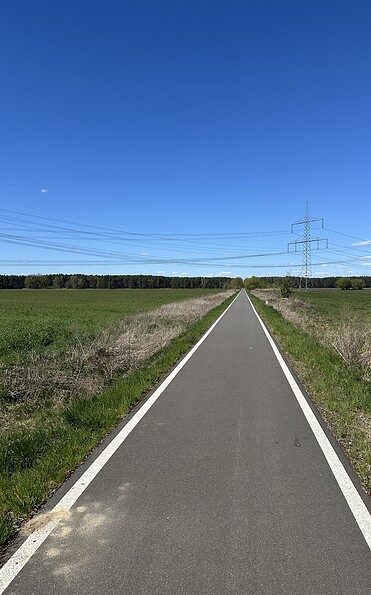 Foto: Rainer Wilkens, Lizenz: Naturwelt Lieberoser Heide GmbH