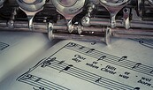 Foto: pixabay, Lizenz: pixabay