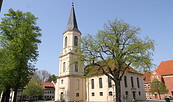 Kraut- und Rübenmarkt