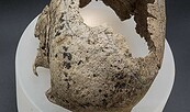 Foto: Atelier Thomas Bartel,, Lizenz: BLDAM