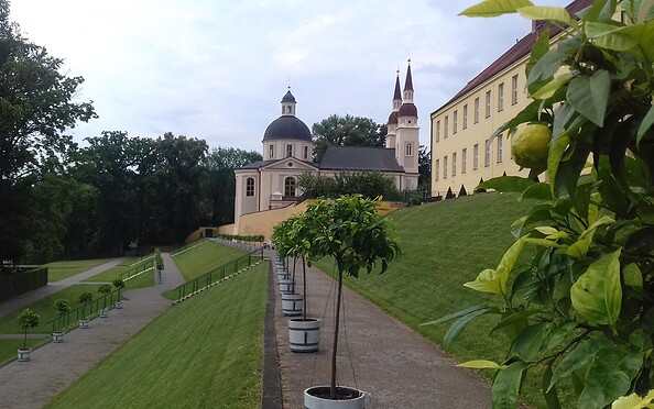 Foto: Stift Stift Neuzelle, Lizenz: Stiftung Stift Neuzelle