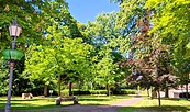 Foto: Andreas Groß, Lizenz: Amt Joachimsthal (Schorfheide)