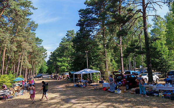 Foto: Waldcamping Am Großsee