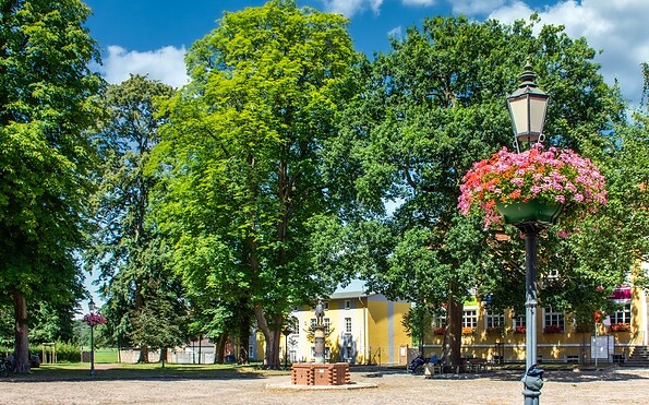 Foto: Michael Mattke, Lizenz: Amt Joachimsthal (Schorfheide)