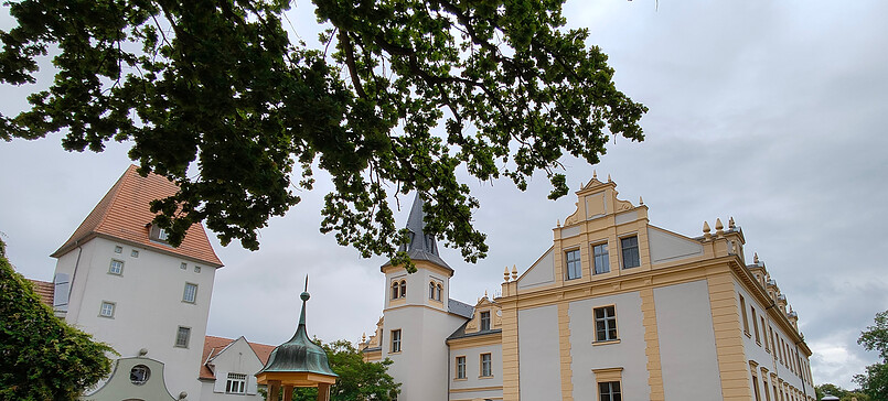 Sommerferienprogramm: Das blaue Wunder – Cyanotypie