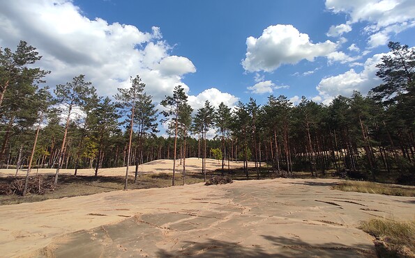 Foto: Janine Ruffer, Lizenz: NaturSchutzFonds