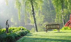 Tag des offenen Hofes > Der Kräuter- und Naturhof im Juni mit Hofladenöffnung und Verkauf von Heilkräutern