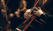 Foto: KI @ Reve, Lizenz: Reve