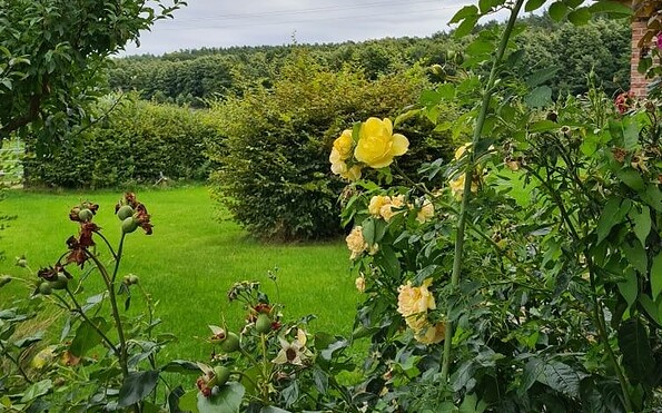 Garten, Foto: Anje Kreutzer