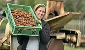 Foto: Böllersen, Lizenz: Walnussmeisterei Böllersen
