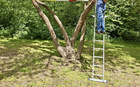 Foto: Lothar Gierke, Lizenz: Lothar Gierke