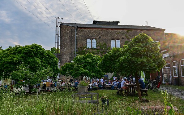 Foto: Ulrich Wessollek
