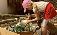 Fütterung , Foto: Scharmuntzelland, Lizenz: Scharmuntzelland