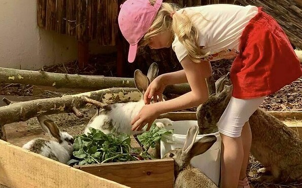 Fütterung , Foto: Scharmuntzelland, Lizenz: Scharmuntzelland