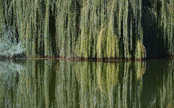 Foto: pixabay, Lizenz: pixabay