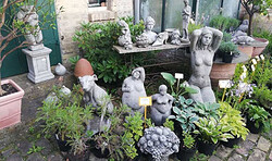 Sommeraktion: Pflanzen und Gartenartikel