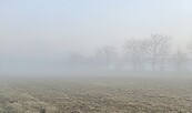 Foto: Susann Nitzsche, Lizenz: Susann Nitzsche