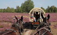 Foto: Naturwacht Brandenburg, Lizenz: Stiftung Naturschutzfonds