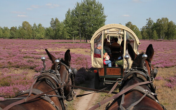 Foto: Naturwacht Brandenburg, Lizenz: Stiftung Naturschutzfonds