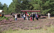 Foto: Naturwacht Brandenburg, Lizenz: Stiftung Naturschutzfonds