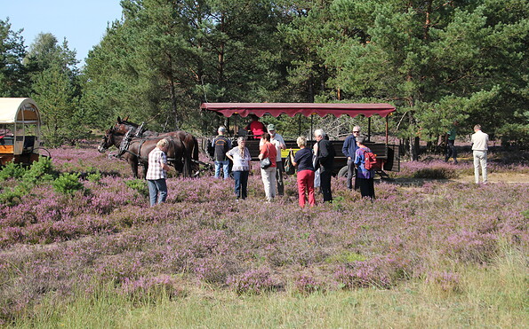Foto: Naturwacht Brandenburg, Lizenz: Stiftung Naturschutzfonds