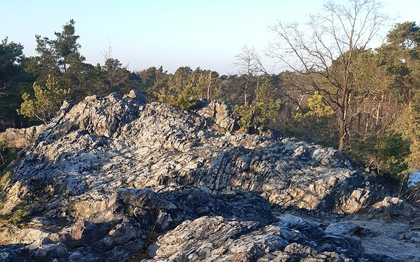 Foto: Susann Nitzsche, Lizenz: Susann Nitzsche, NW NPNLH
