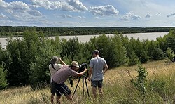Kranich-Safari - Kleinbustour