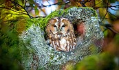 Foto: AdobeStock_Alexander Limbach, Lizenz: AdobeStock_Alexander Limbach