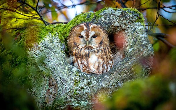 Foto: AdobeStock_Alexander Limbach, Lizenz: AdobeStock_Alexander Limbach