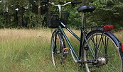 Foto: Naturwacht Brandenburg, Lizenz: Stiftung Naturschutzfonds