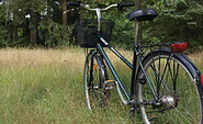 Foto: Naturwacht Brandenburg, Lizenz: Stiftung Naturschutzfonds