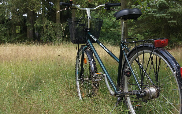 Foto: Naturwacht Brandenburg, Lizenz: Stiftung Naturschutzfonds