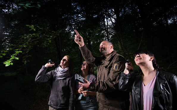 Noch bevor es dunkel wird, erscheinen die ersten Fledermäuse (Foto: S.Hennigs), Foto: Sebastian Hennigs, Lizenz: NaturSchutzFonds Brandenburg