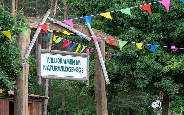 Foto: C. Weisser, Lizenz: Tourismusverband Fläming e.V.