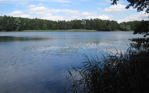 Foto: I. Wiehle, Lizenz: Stiftung NaturschutzFondsBrandenburg