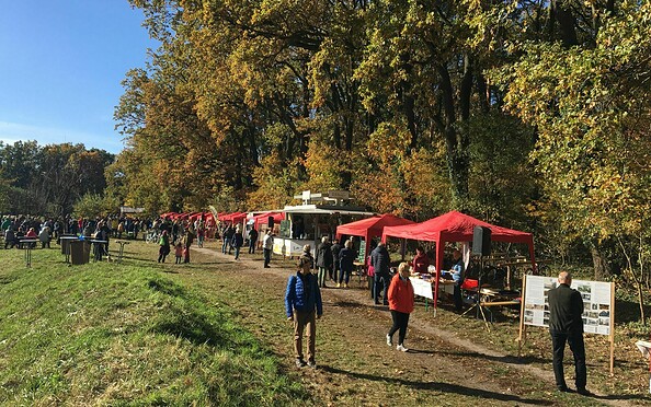 1. Tiergartenfest, Foto: Tourismusverband Dahme-Seenland e.V., Lizenz: Tourismusverband Dahme-Seenland e.V.