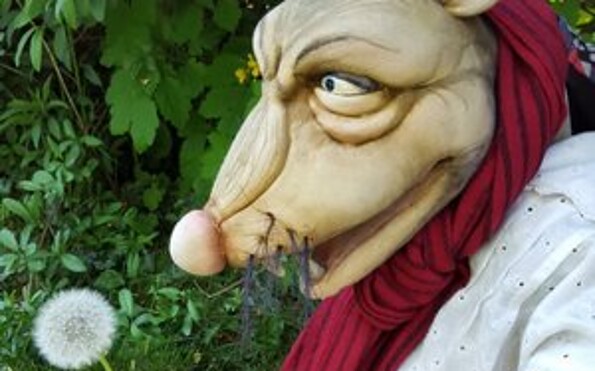 Foto: Ursula Raetin