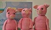 Foto: Puppenbühne Regenbogen-mobil