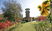 Foto: Stadt Werder (Havel), Lizenz: Stadt Werder (Havel)