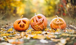 Halloween im Marktquartier
